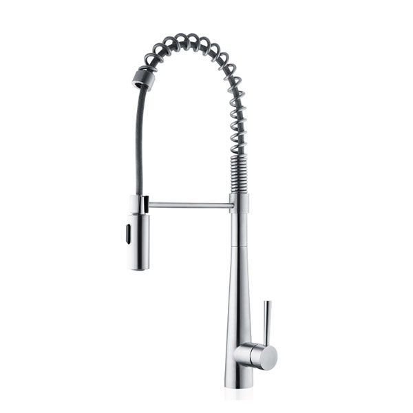 European Standard Stainless Steel Pull Out Kitchen Faucet - Deck Mount, Hot/Cold