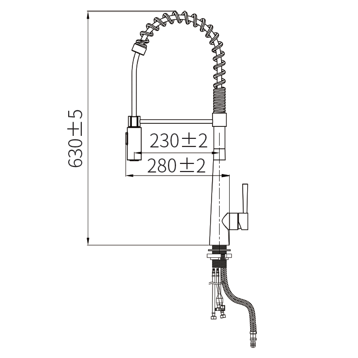 European Standard Stainless Steel Pull Out Kitchen Faucet - Deck Mount, Hot/Cold